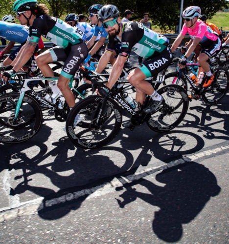 Vuelta a San Juan 2020 - 38th Edition -2nd stage Pocito - Pocito 168,7 km - 27/01/2020 - Peter Sagan (SVK - Bora - Hansgrohe) - photo Roberto Bettini/BettiniPhoto©2020