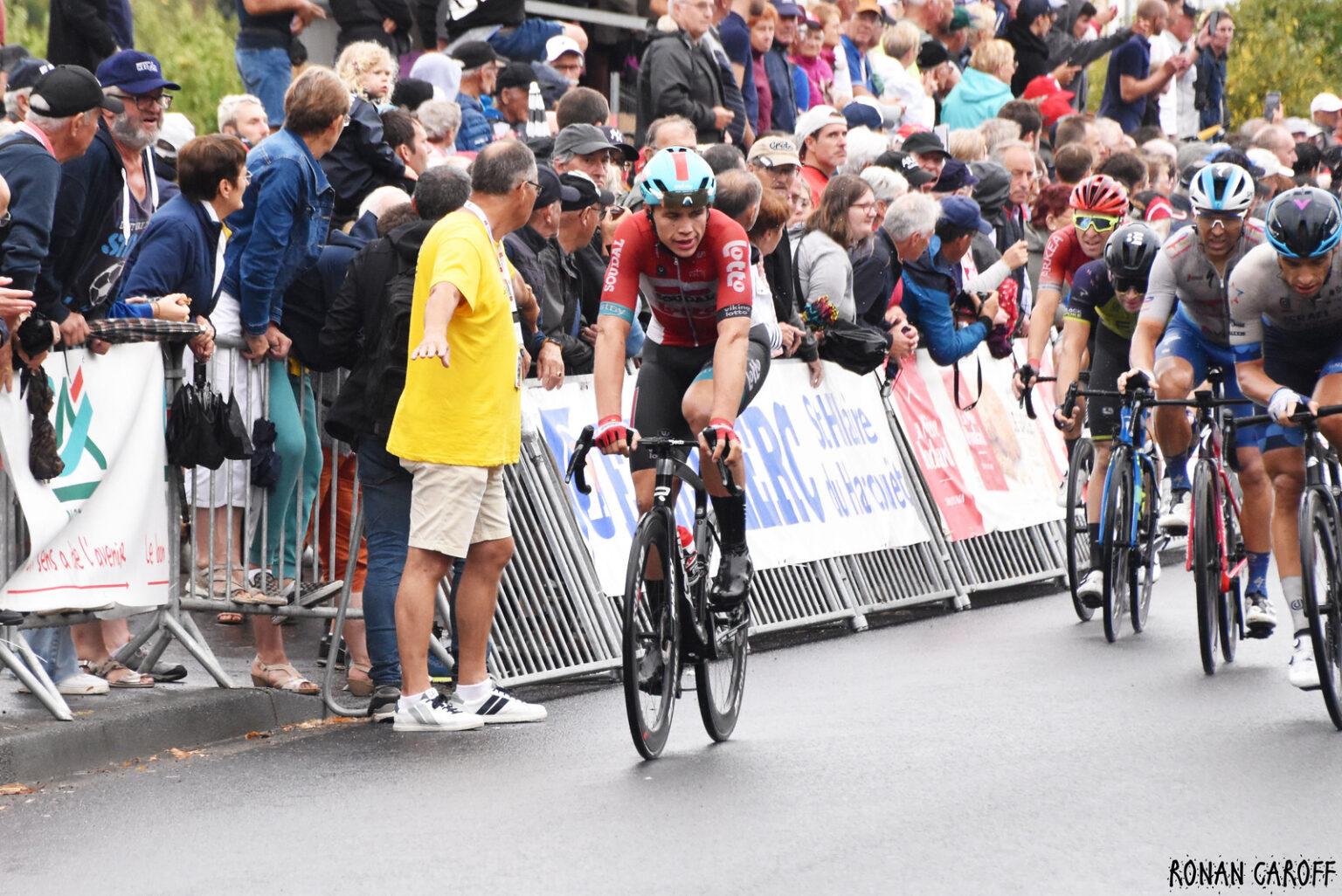 レフェミの雄牛